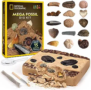 Child excitedly excavating genuine prehistoric fossils using the NATIONAL GEOGRAPHIC Mega Fossil Dig Kit, an educational and interactive science gift for kids.