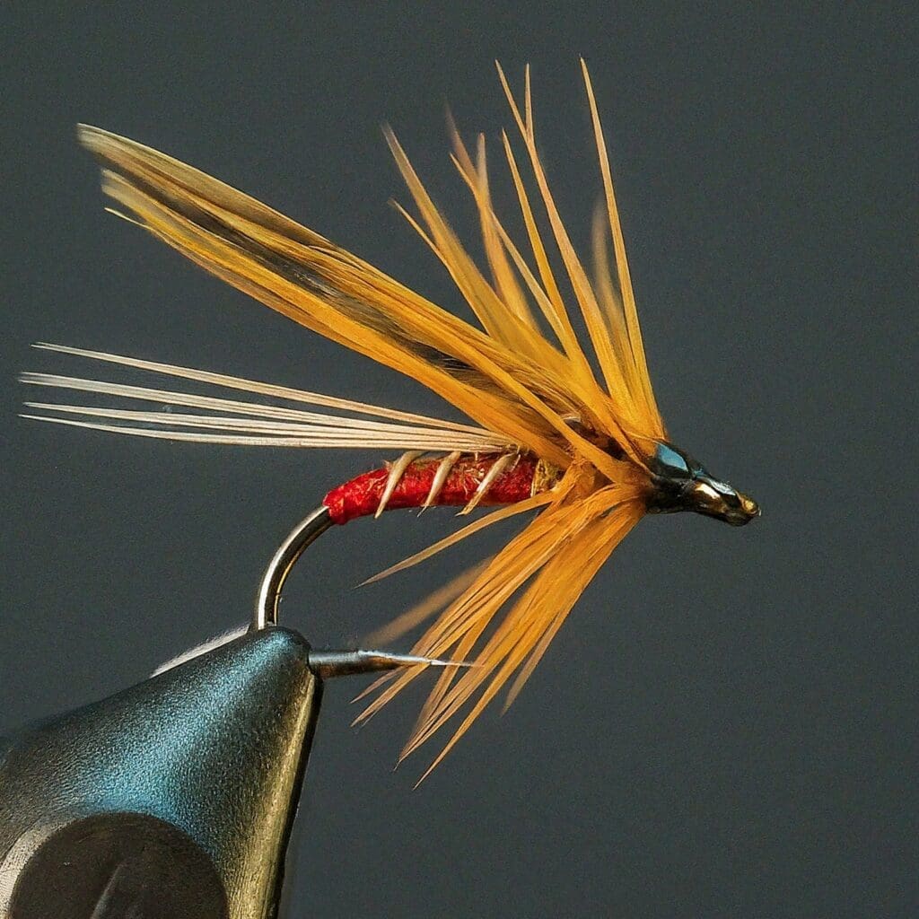 Dry fly featuring a red body, cream tail, and light orange hackle, designed for fishing.
