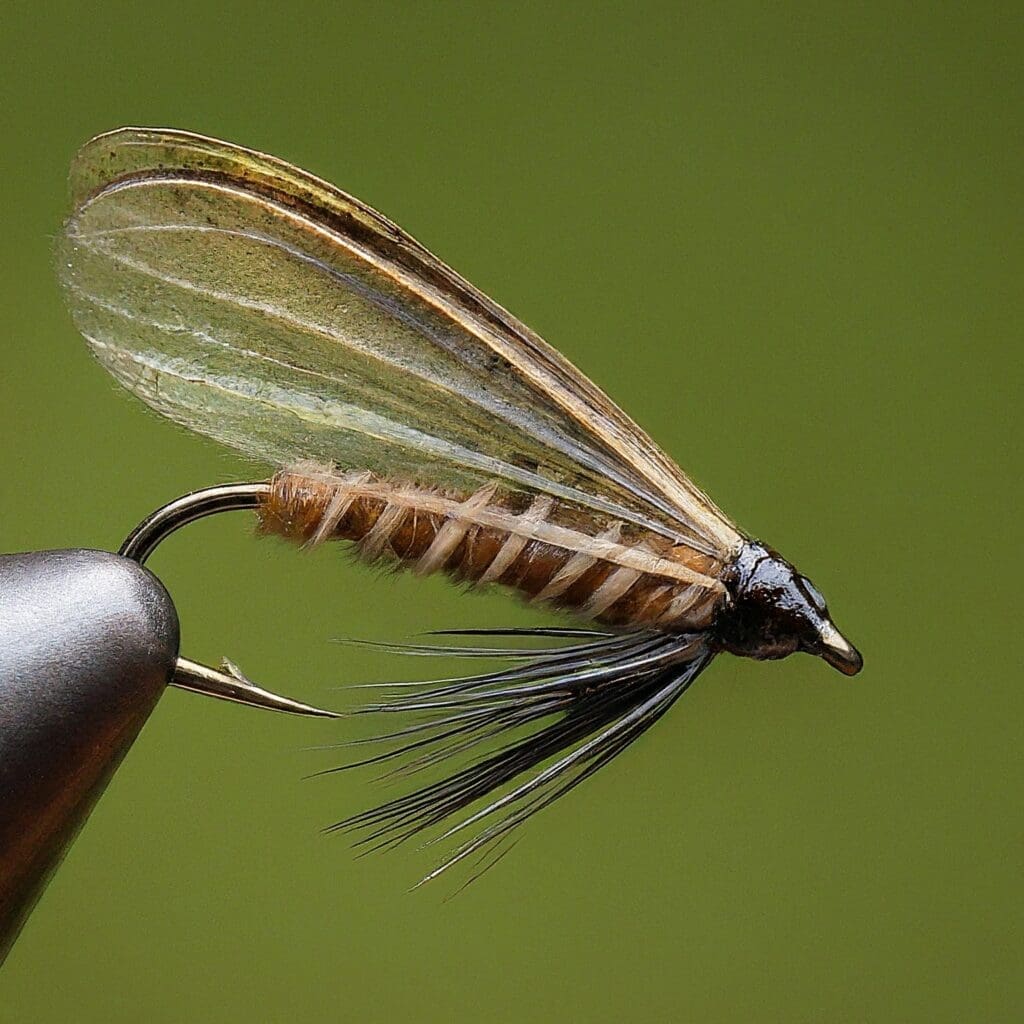 Size 8 Skwala Stonefly Dry Fly