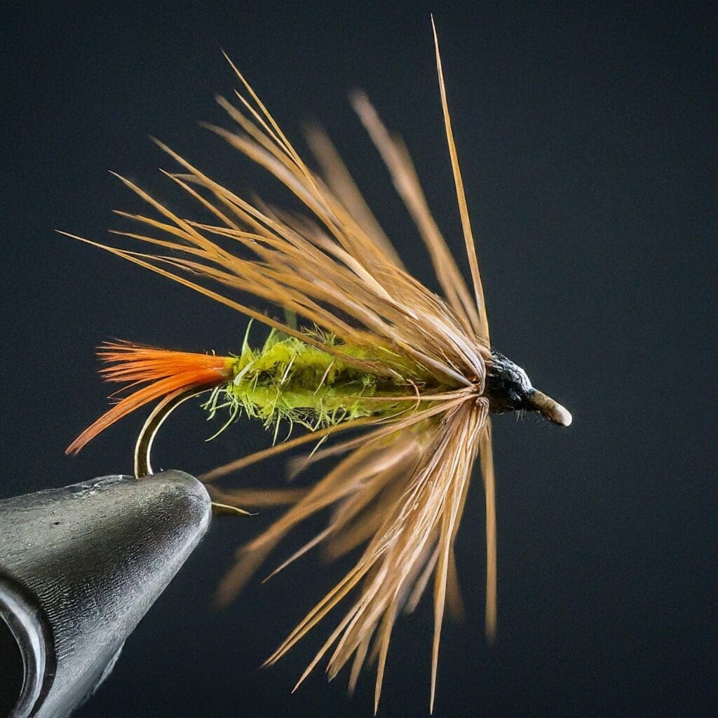 An intricately designed wet fly in a vice against a black backdrop symbolizes the beauty of this fly for fishing.