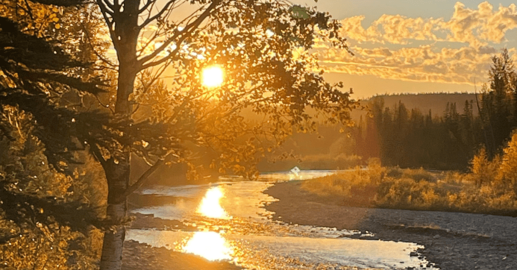 Clearwater river brown trout fishing: Two anglers ready to go casting flies in crystal-clear waters, surrounded by lush forest, and the rising sun, chasing elusive trophy browns in Alberta's pristine wilderness.