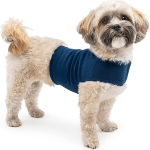 Small fluffy dog wearing one of the best dog anxiety jackets for travel, a blue snug-fit vest.