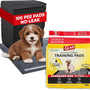 A cute brown and white puppy sits beside a package of Glad Activated Carbon Training Pads.