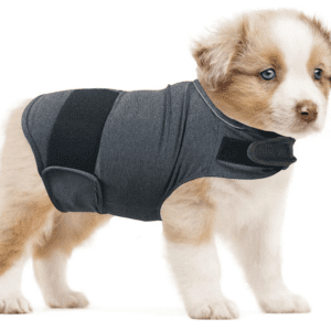 Puppy wearing ThunderEase Calming Vest, combining gentle pressure and pheromone technology for anxiety.