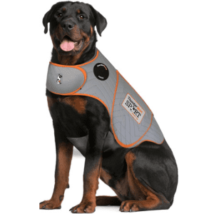 Large black dog wearing one of the best dog anxiety jackets for travel, gray with orange trim.