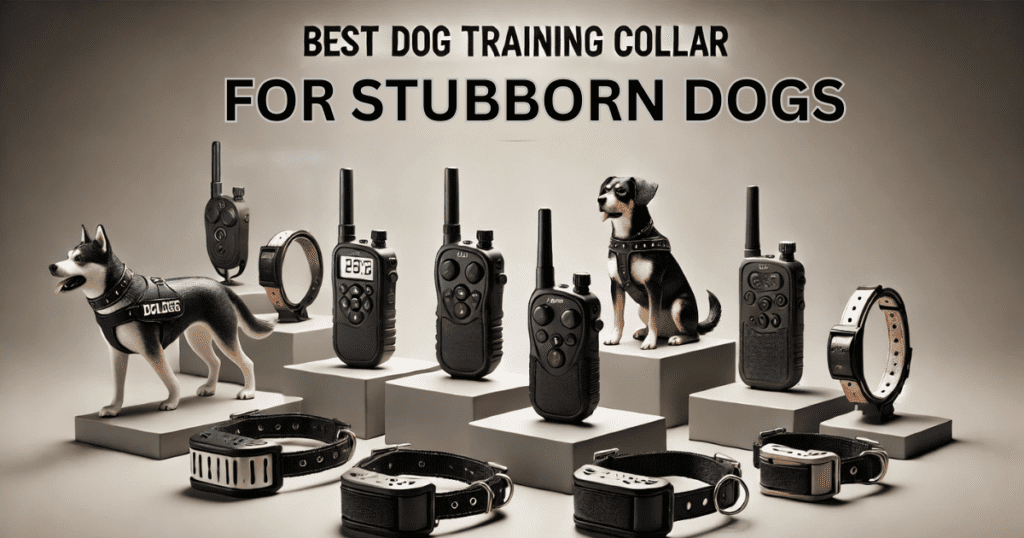 Best dog training collar for stubborn dogs displayed with remotes and adjustable collars.