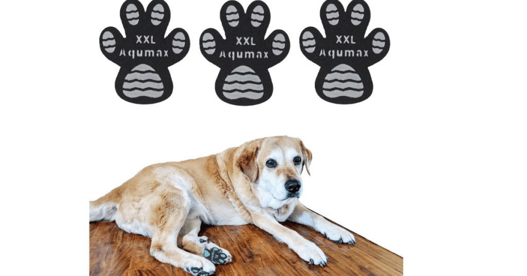 Dog paw pads protected by Non-Slip Gripper Traction Pads, emphasizing safety and outdoor adventure for your dog.